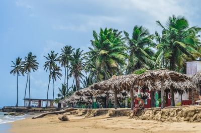 人坐在棕色的小屋附近的海滨在白天
